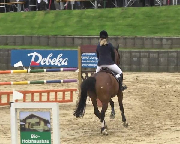 Reit- und Springturnier RSV Püttlingen 2014