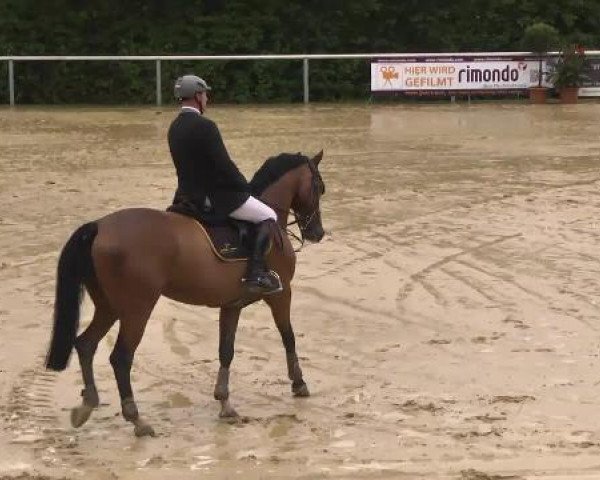 Reit- und Springturnier RSV Püttlingen 2014
