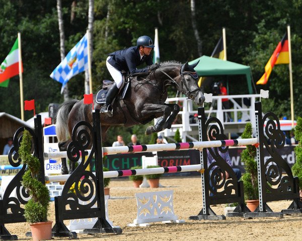 broodmare Diacontina 10 (Oldenburg show jumper, 2015, from Diacontinus) broodmare Diacontina 10 (Oldenburg show jumper, 2015, from Diacontinus)