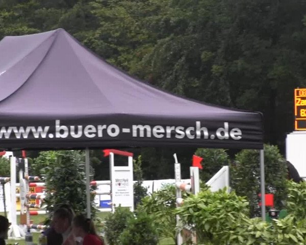 Dressur- und Springturnier Rheine-Wadelheim 2014