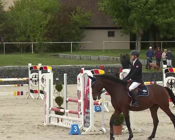 Reitturnier Frankenhof-Sonnefeld/Ofr. 2025