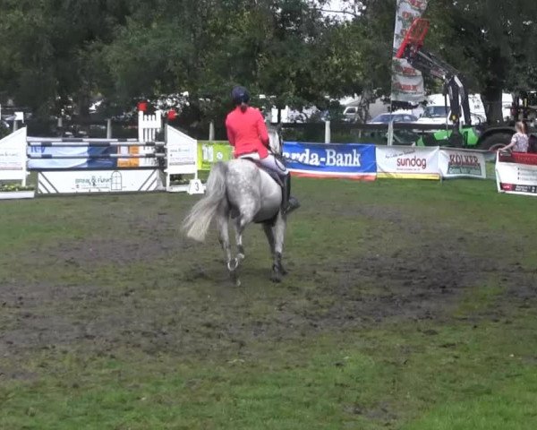 Dressur- und Springturnier Rheine-Wadelheim 2014