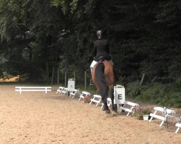 Dressur- und Springturnier Rheine-Wadelheim 2014