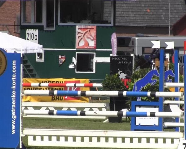 Dressur- und Springturnier Rheine-Wadelheim 2014