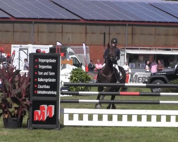 Dressur- und Springturnier Rheine-Wadelheim 2014