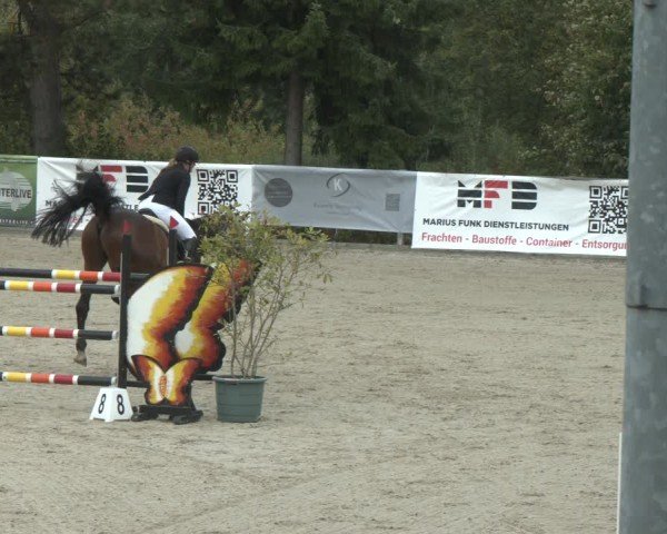 Equestrian Show Düsseldorf - Uhlenhof 2025