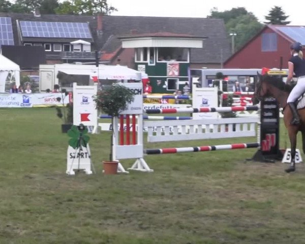 Dressur- und Springturnier Rheine-Wadelheim 2014