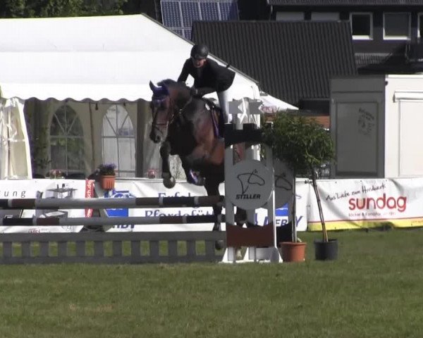 Dressur- und Springturnier Rheine-Wadelheim 2014