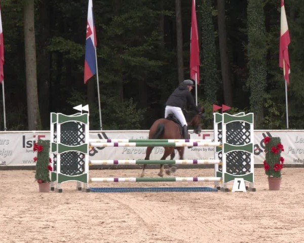 Reitturnier Ranshofen - Braunau am Inn 2025