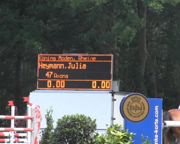 Dressur- und Springturnier Rheine-Wadelheim 2014