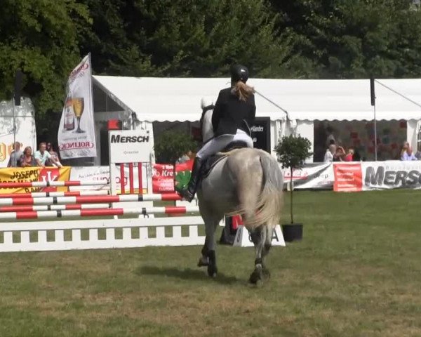 Dressur- und Springturnier Rheine-Wadelheim 2014