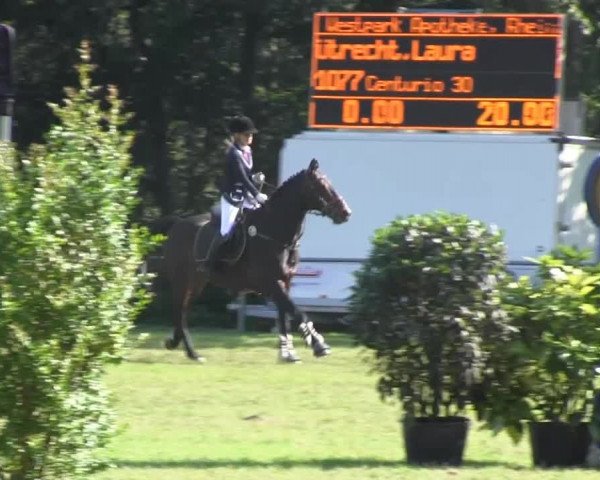 Dressur- und Springturnier Rheine-Wadelheim 2014