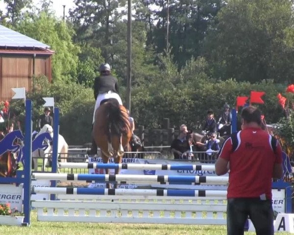 Dressur- und Springturnier Rheine-Wadelheim 2014