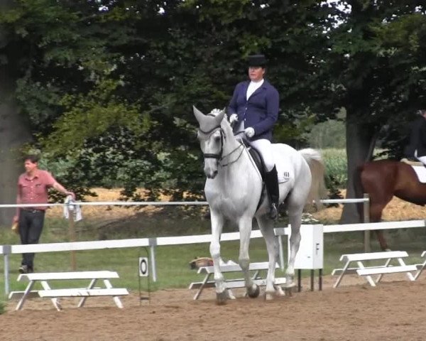 Dressur- und Springturnier Rheine-Wadelheim 2014