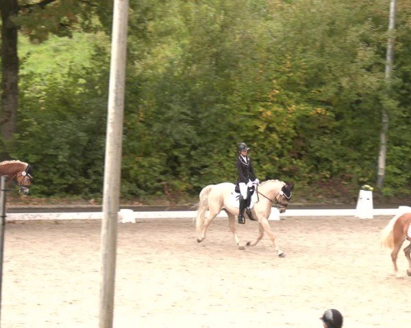 Reitturnier Düsseldorf - Uhlenhof 2025