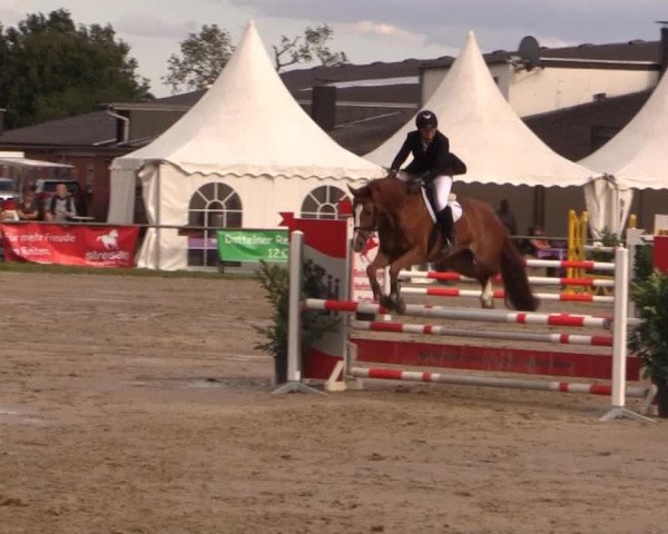 Datteln 2014