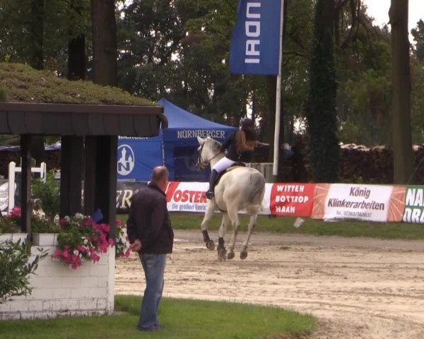 Datteln 2014
