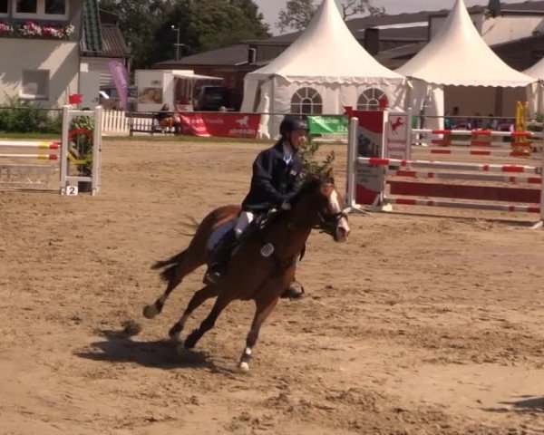 Datteln 2014