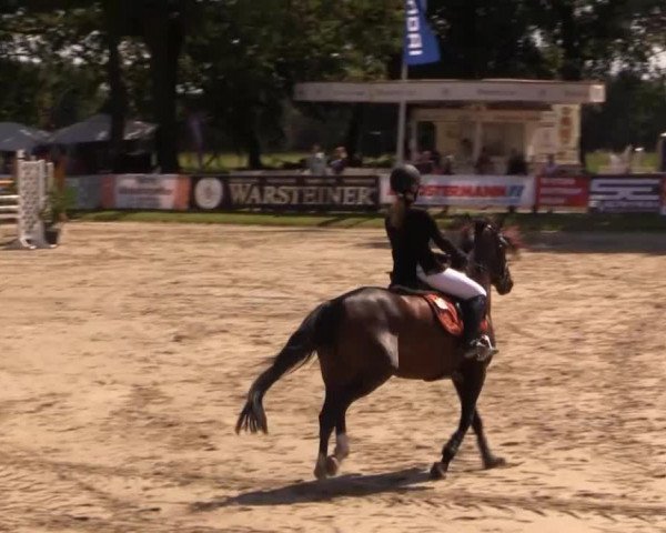 Datteln 2014