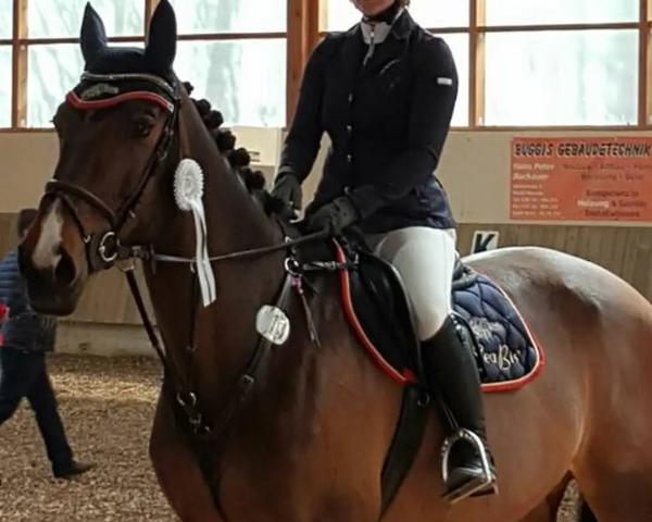 Zuchtstute Anais Cacharel (KWPN (Niederländisches Warmblut), 2005, von Tenerife)