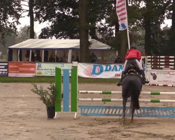 Datteln 2014