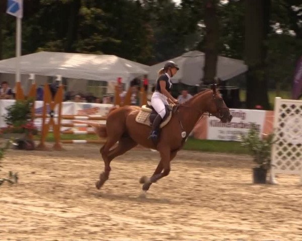 Datteln 2014