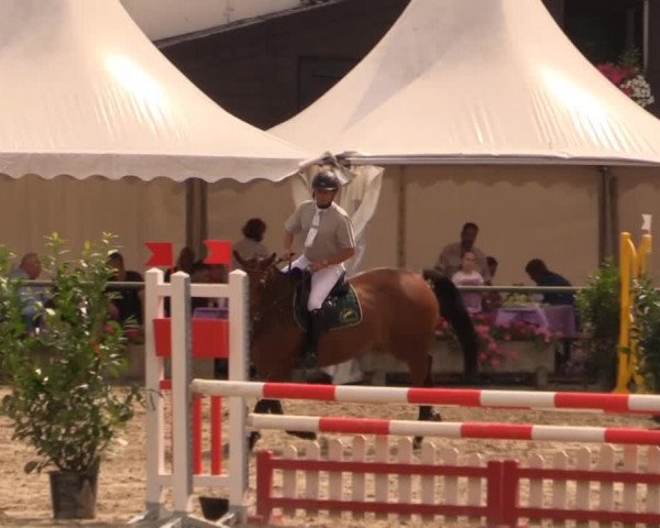 Datteln 2014