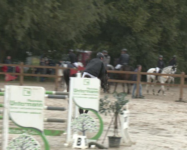 Reitturnier Kamen 2025