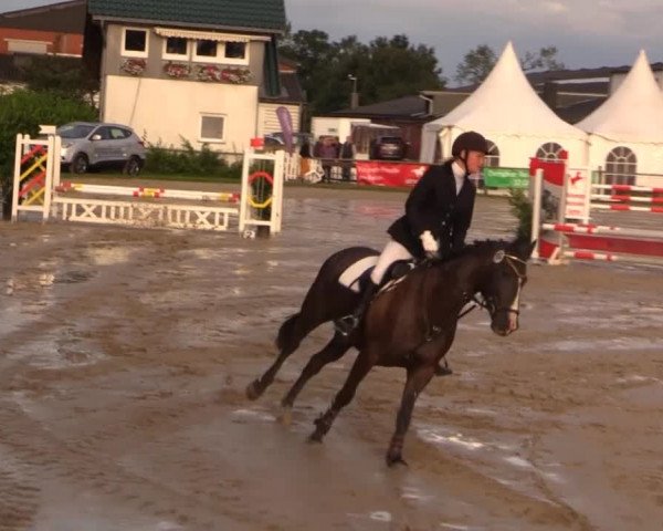 Datteln 2014