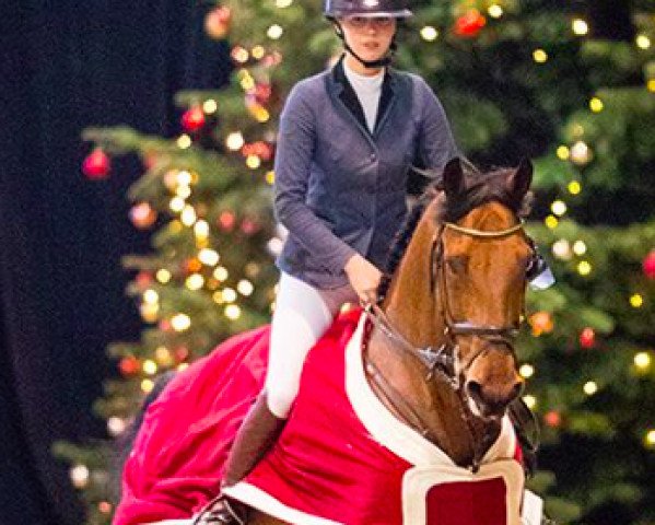 jumper Red Bull (KWPN (Royal Dutch Sporthorse), 2006, from Nassau)