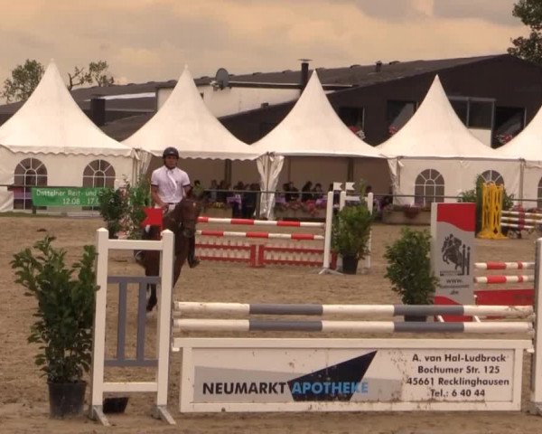 Datteln 2014