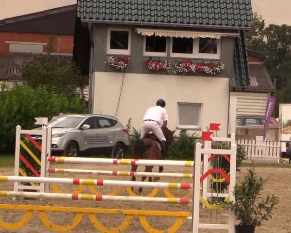 Datteln 2014