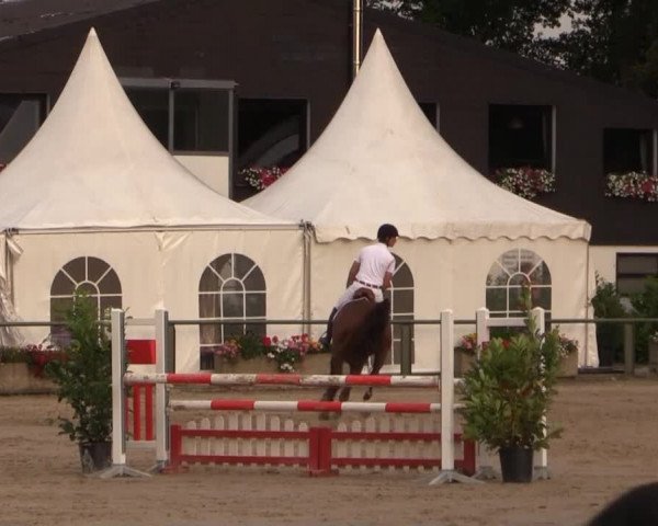 Datteln 2014