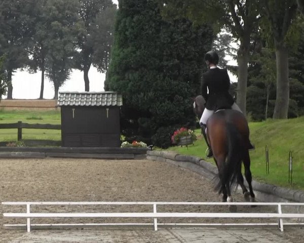Datteln 2014