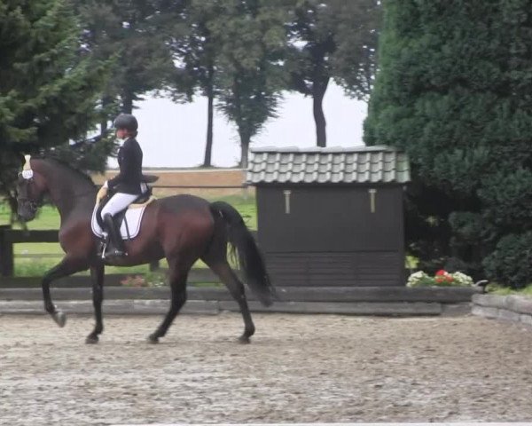 Datteln 2014