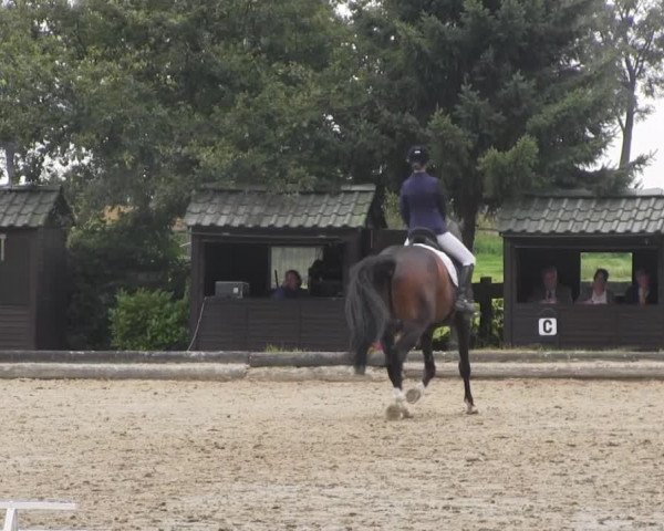 Datteln 2014