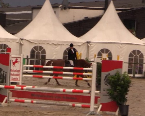 Datteln 2014