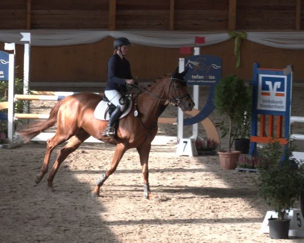 Reitturnier Xanten - Reitanlage Miss 2025