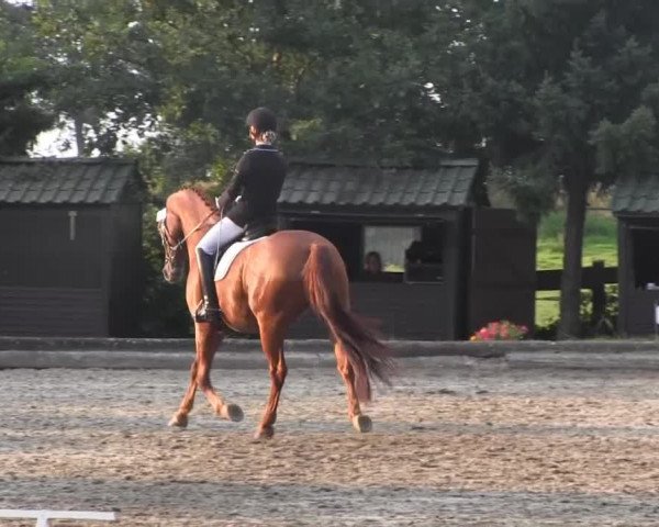 Datteln 2014