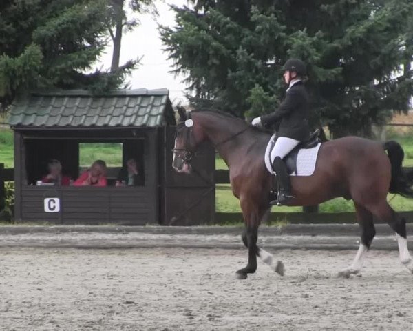 Datteln 2014