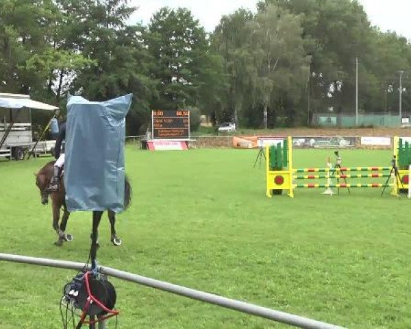 Gültsteiner Springtage 2014