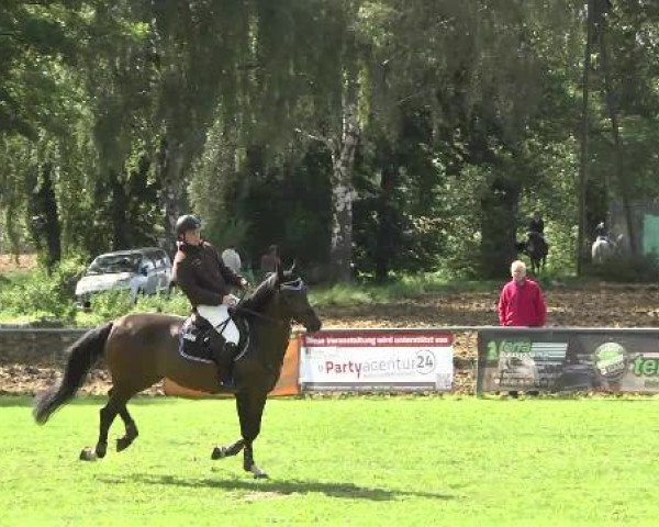 Gültsteiner Springtage 2014
