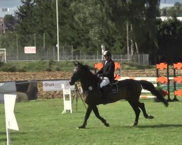 Gültsteiner Springtage 2014