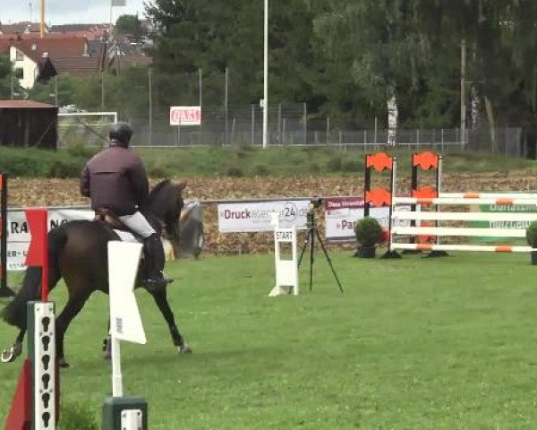 Gültsteiner Springtage 2014