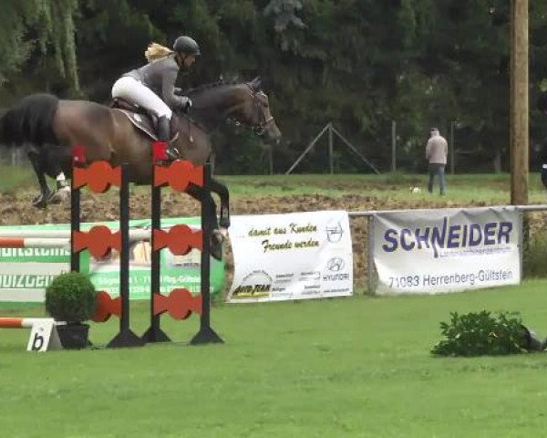 Gültsteiner Springtage 2014