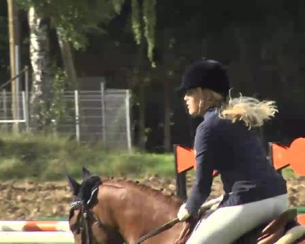 Gültsteiner Springtage 2014