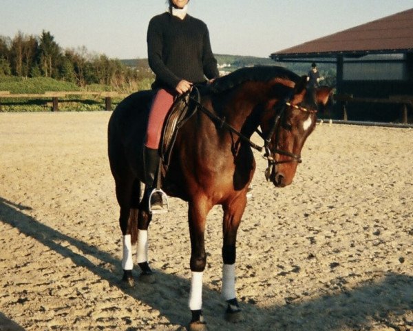 dressage horse Genta (Westphalian, 2002, from Gralshüter)