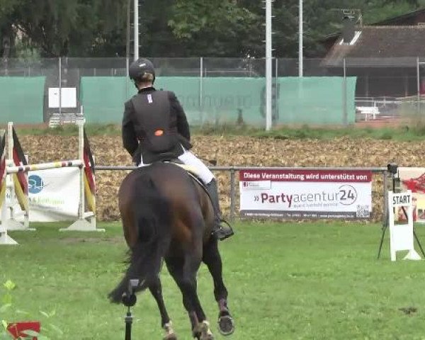Gültsteiner Springtage 2014