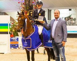 stallion Zeppe van de Ijsseldijk Vdh (Nederlands Rijpaarden en Pony, 2007, from Zodiak)