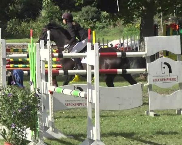 Gültsteiner Springtage 2014